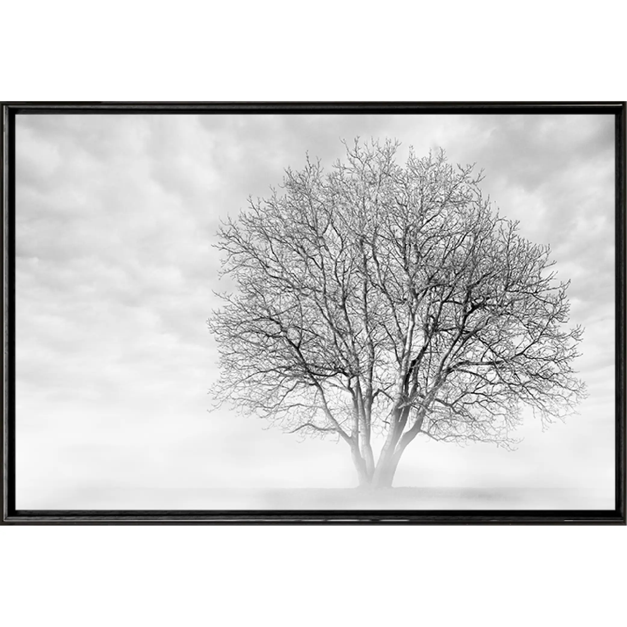 Quadro Árvore em Galhos PB 120x80 - Casa da Moldura  - Liven Casa