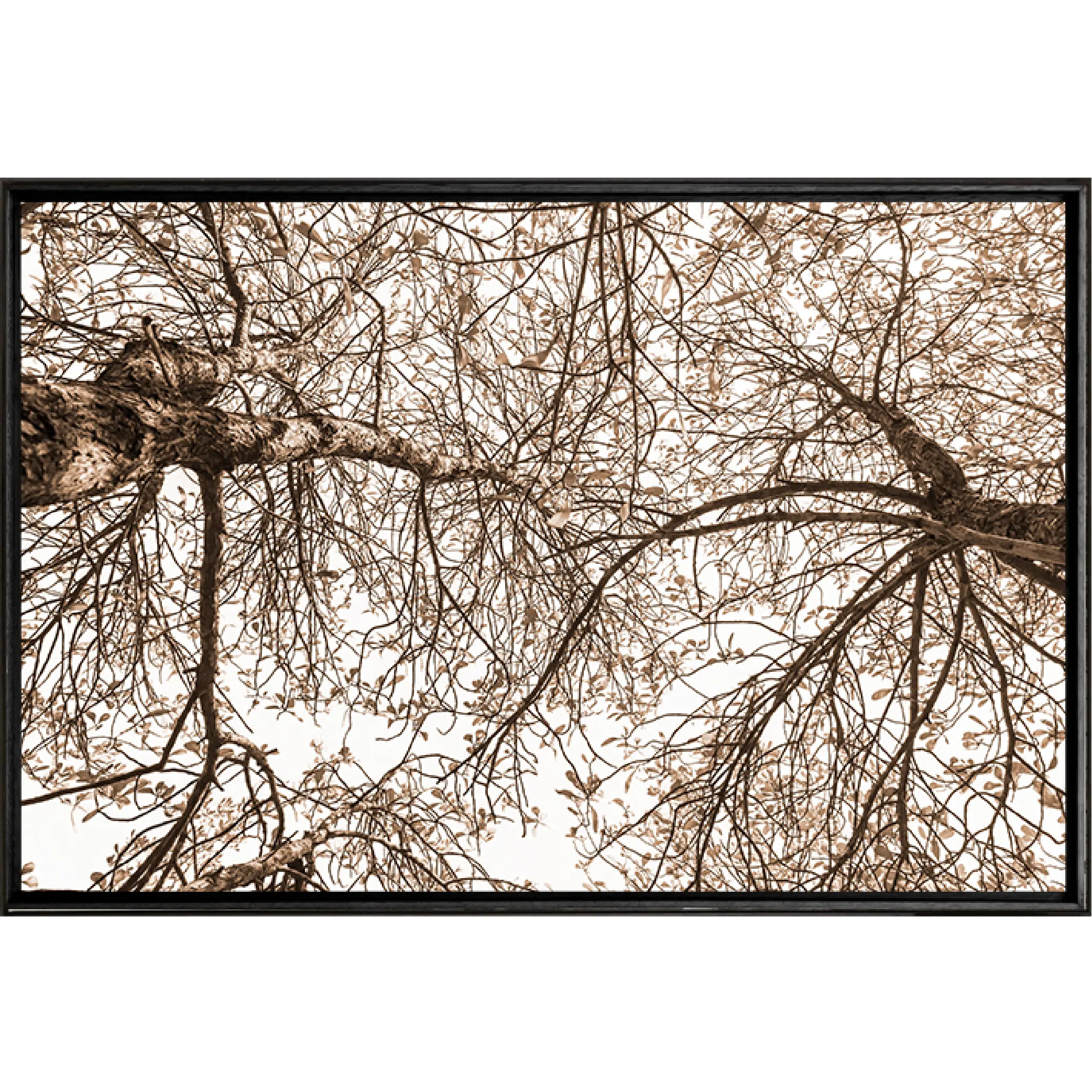 Quadro Árvores Secas 120x80 cm - Casa da Moldura - Liven Casa