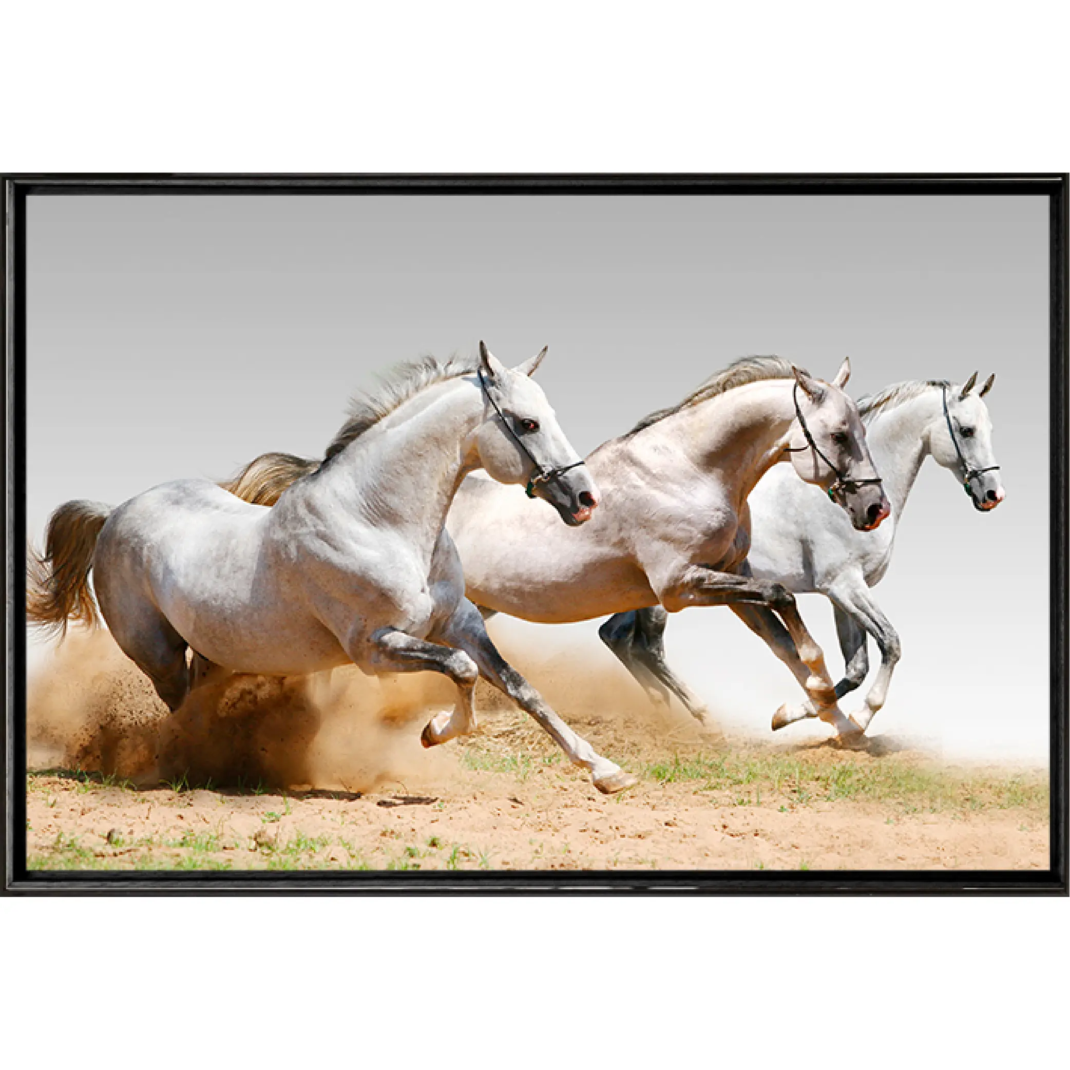 Quadro Cavalos Color 90x60cm - Casa da Moldura - Liven Casa