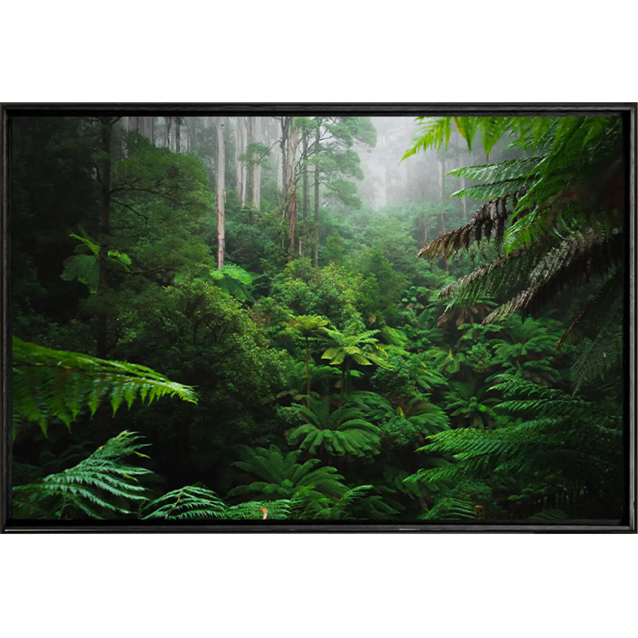 Quadro Floresta Tropical 120x80 cm - Casa da Moldura - Liven Casa
